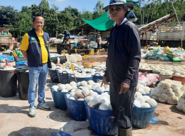 ติดตามการรวบรวมยางพารากลุ่มเกษตรกรทำสวนยางพารานาเมือง พารามิเตอร์รูปภาพ 3